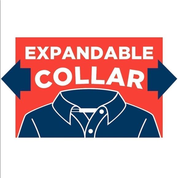 5 Piece French Toast Oxford Button Down Dress Shirts for School, Church, Etc. - Picture 5 of 8